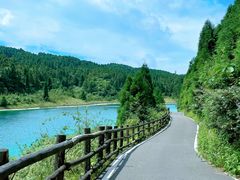 -武陵山森林公园