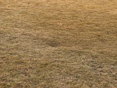 -上海市龙华烈士陵园