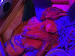 -胡桃里音乐酒馆(白云五号T5 MALL店)