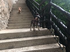 -十渡东湖港风景区