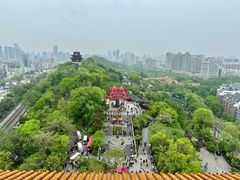 -黄鹤楼公园(黄鹤楼)