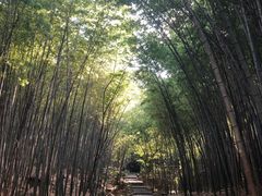 -穹窿山景区