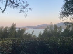 -天目湖涵田半山温泉