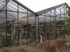 -瓦格纳苹果酒德国风味餐馆