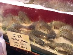 -大树下海鲜饭店