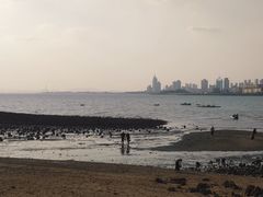 -青岛海滨风景区