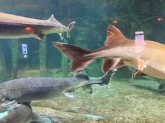 -华夏文旅海洋公园