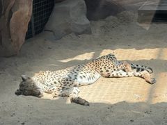 -鄂尔多斯野生动物园