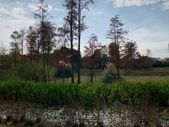 -广富林郊野公园