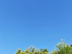 -牛背梁国家森林公园