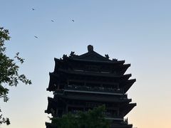 -济南大明湖景区