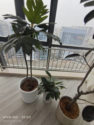 -HEYAN荷妍专业脱毛连锁机构