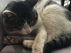 -UNI UNI(环亚凯瑟琳店)