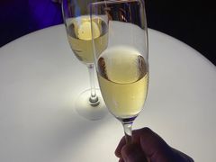 -三亚太阳湾柏悦酒店
