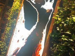 -雀舞云南菜(天津天河城购物中心店)