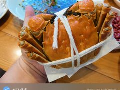 -品鲜村农家菜·阳澄湖大闸蟹(总店)