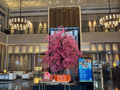 -成都安仁福朋喜来登酒店