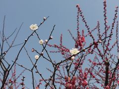 -宾湖农庄·农场特色(太湖龙之梦店)