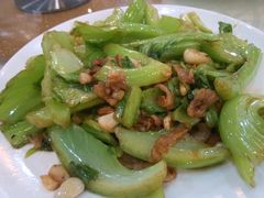 -蒲园食堂(中山大学广州校区南校园店)