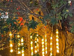 -重庆十八梯传统风貌区