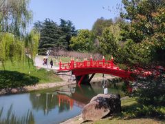 -东方绿舟景区