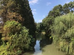 -同里国家湿地公园