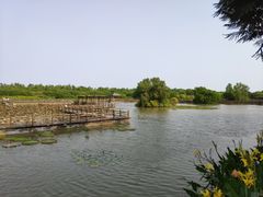 -大湾区中央湿地公园
