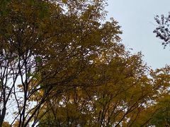 -宝界山林公园
