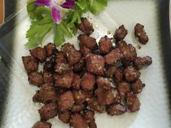 -友强·23年特色海鲜大排档(厦门店)