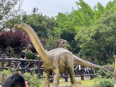 -自贡恐龙博物馆