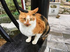 -敬亭山风景名胜区