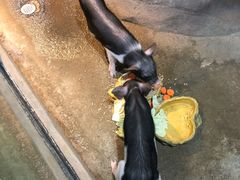 -苏州海洋馆