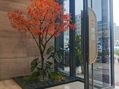 -唐宫足道·SPA·住宿24H会所(木渎店)