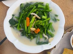 -新合益乡村农庄