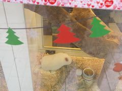 -龙猫仔乐园(惠福东路店)