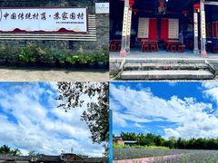 -苏家围·东江画廊旅游景区