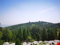 -原山国家森林公园