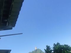-南山植物园