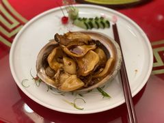 大鲍鱼-新锦鸿(演达店)