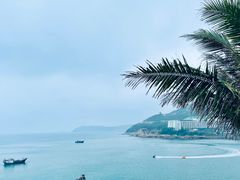 -东澳岛