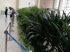 -合肥火车站(地铁站)