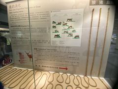 -北京麋鹿生态实验中心