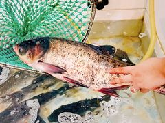 -山城家常菜铁锅炖鱼