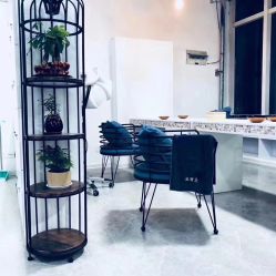 -爱丽丝ALICE Hair Salon