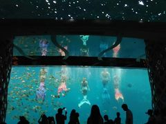 -瑞德姆美人鱼海底演艺主题餐厅(亚龙湾店)