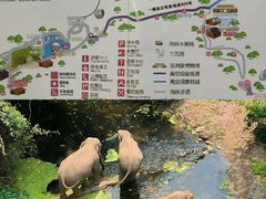 -野象谷景区