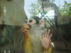 android_upload_pic-西安秦岭野生动物园