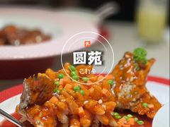 -圆苑(静安寺店)