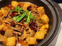 -明何记涮牛肚(品牌首店隋唐植物园南门古城路店)