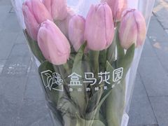 -盒马鲜生(大成店)